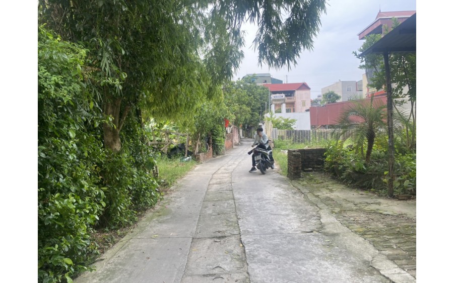 ĐẤT VÂN TRÌ ĐÔNG ANH - ĐƯỜNG THÔNG OTO 7 CHỖ VÀO ĐẤT -100M RA ĐƯỜNG 23B - GIÁ ĐẸP ĐẦU TƯ  – 58M – NHỈNH 3 TỶ