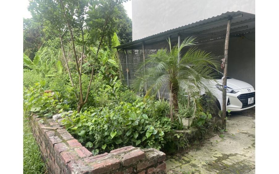 ĐẤT VÂN TRÌ ĐÔNG ANH - ĐƯỜNG THÔNG OTO 7 CHỖ VÀO ĐẤT -100M RA ĐƯỜNG 23B - GIÁ ĐẸP ĐẦU TƯ  – 58M – NHỈNH 3 TỶ