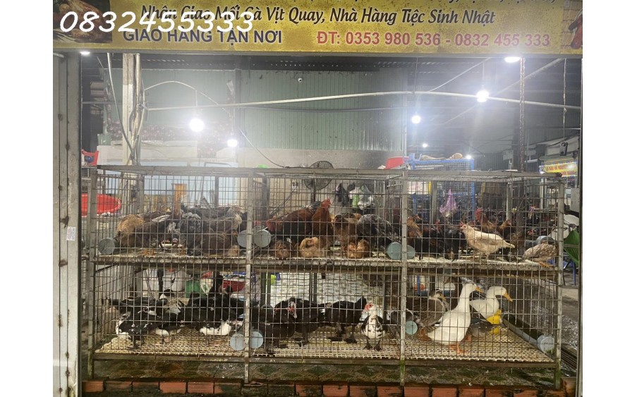 CẦN SANG NHƯỢNG SẠP GÀ TƯƠI SỐNG TẠI CHỢ LÂM PHÁT, THUẬN GIAO, THUẬN AN, BÌNH DƯƠNG