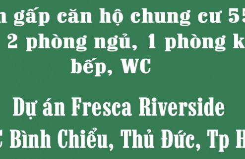 Chính chủ cần bán gấp căn hộ chung cư 55m2 gồm 2 phòng ngủ, 1 phòng khách, bếp, WC