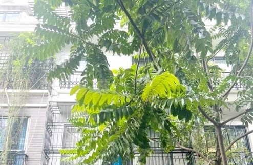BÁN GẤP NHÀ MẶT PHỐ XÃ ĐÀN 2, Q. ĐỐNG ĐA: 31M2, 5 TẦNG, ÔTÔ, KINH DOANH, GIÁ 10.5 TỶ