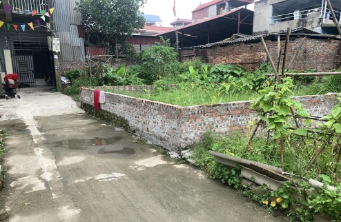 Rẻ nhất khu vực 51,9m2 đất thôn Bến Trung, Bắc Hồng, Đông Anh, Hà Nội.