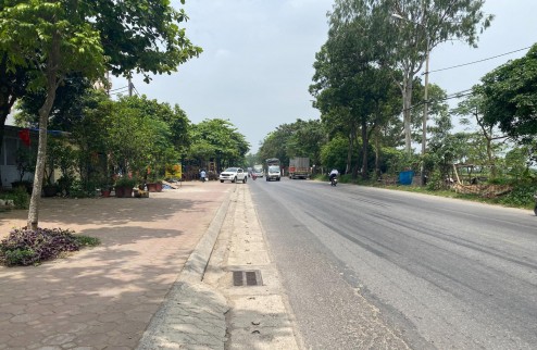 Bán 58m2 đất mặt đường QL3, full thổ cư , không quy hoạch, vị trí đắc địa nhất Đông Anh