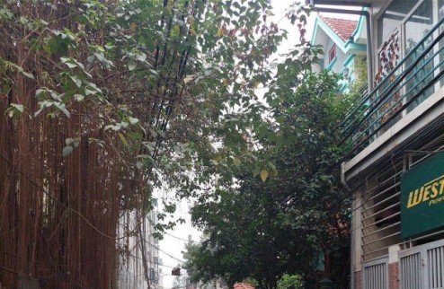 Bán Nhà Phố Tứ Liên Quận Tây Hồ. 100m Mặt Tiền 5.4m Nhỉnh 12 Tỷ. Cam Kết Ảnh Thật Mô Tả Chính Xác. Chủ Cần Bán Nhanh Giá Chốt Linh Động. 5109