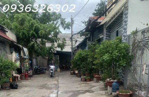 Đất Hẻm Song Hành Tân Xuân Hóc Môn 220m2 Ngang 8.2m