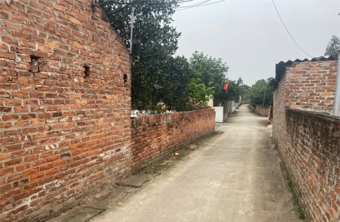Bán 66m2 đất Xuân Đồng, Tân Minh, Sóc Sơn, Hà Nội. Đường thông, ô tô vào đất.