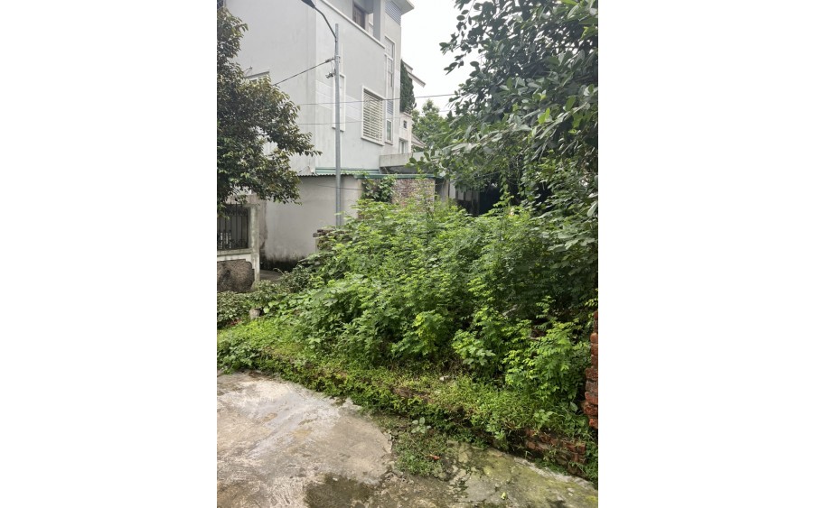 Bán đất Cao Lỗ, 56m x 5m lô góc, oto 20m ngõ thông, giá nhỉnh 2 tỷ LH: 0936123469