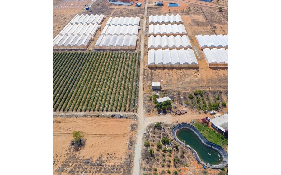Cần Bán 20.000m2 Đất Mặt Tiền Trục Chính Giá Tốt Nhất Khu Vực Bàu Trắng, Bình Thuận