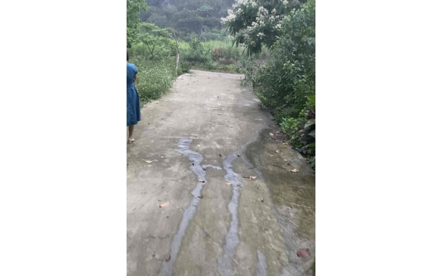 BÁN ĐẤT + NHÀ VƯỜN + AO CÁ 12000M2 XÃ CHIÊU YÊN, YÊN SƠN, TUYÊN QUANG.