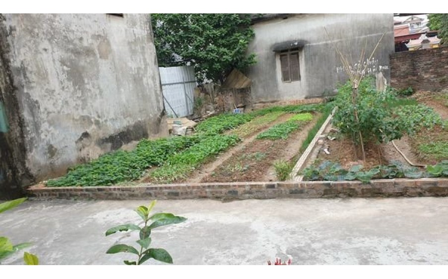 Chỉ 1.x tỷ có 41m2 đất Tiên Dương cách trường quốc tế Archimedes chỉ 200m- Cách đường oto chạy chỉ 60m.
