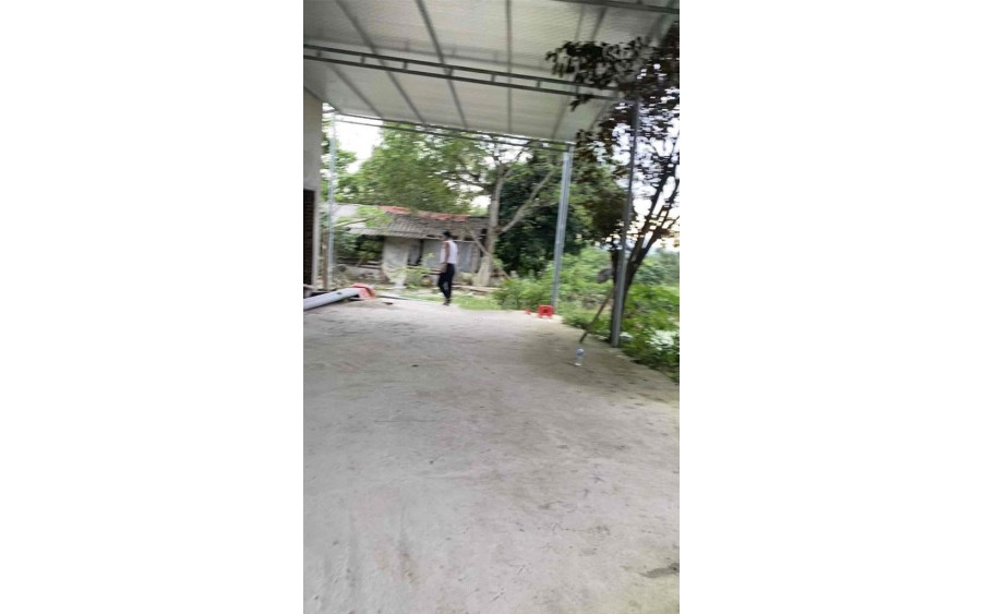 BÁN ĐẤT + NHÀ VƯỜN + AO CÁ 12000M2 XÃ CHIÊU YÊN, YÊN SƠN, TUYÊN QUANG.
