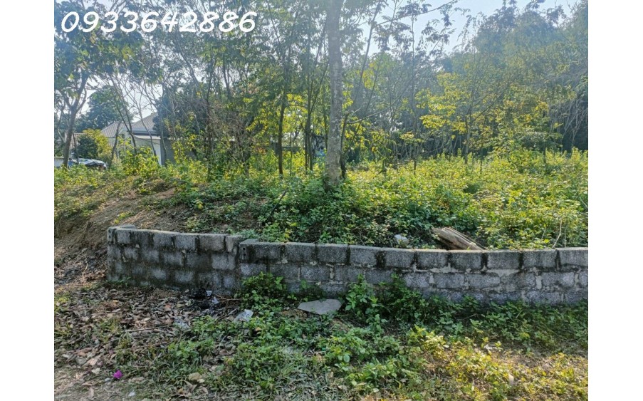 Cần Bán 1000M2. Có 100M2 Tc. Giá Bán 2.9 Tỷ. Đất Tại Hồ Đồng Sương, Liên Sơn, Hòa Bình