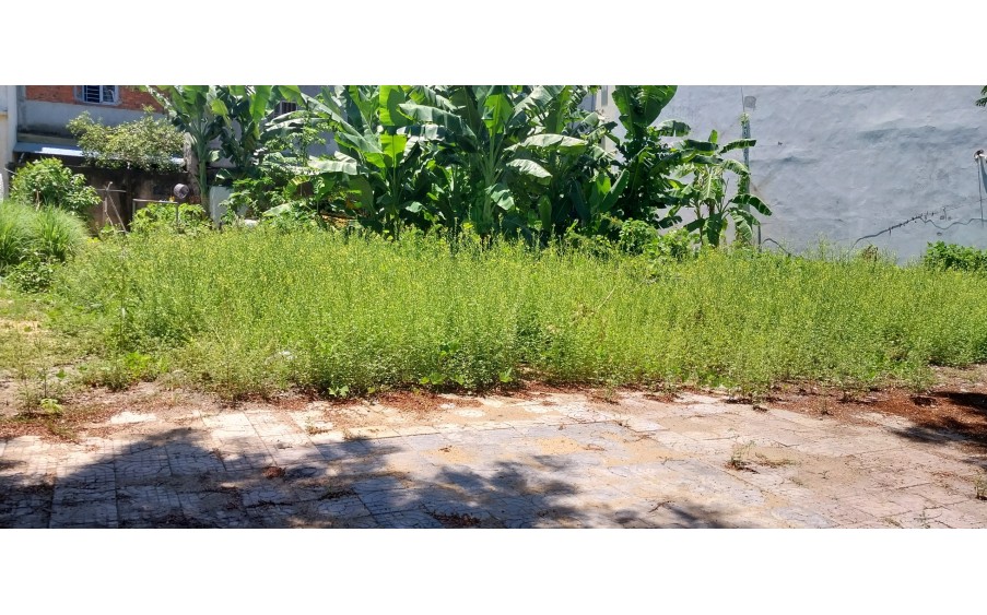 ► Đất MT Đa Phước 6, đường 7.5m, Nam Việt Á, khang trang, gần Sông