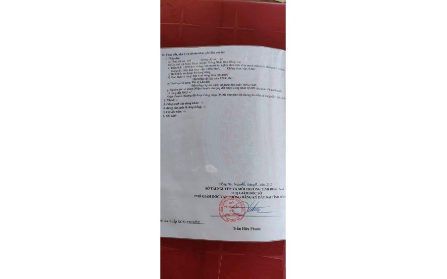 1,3 HA MÍT CÓ 300 THỔ CƯ,FULL BÉP, MẶT TIỀN 35M ĐƯỜNG NHỰA
