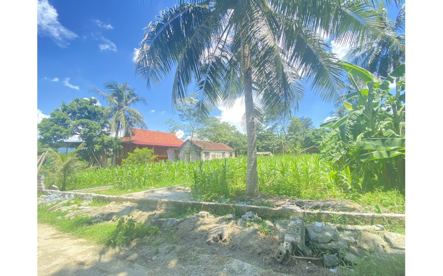 150m2 sổ vuông đét kcn Thạch Quảng chỉ 250 triệu, cách KCN chỉ 30m