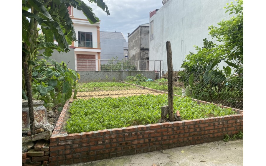 BÁN ĐẤT XUÂN NỘN ĐÔNG ANH ,ĐƯỜNG 2 OTO TRÁNH , 52M ,NHỈNH 2 TỶ