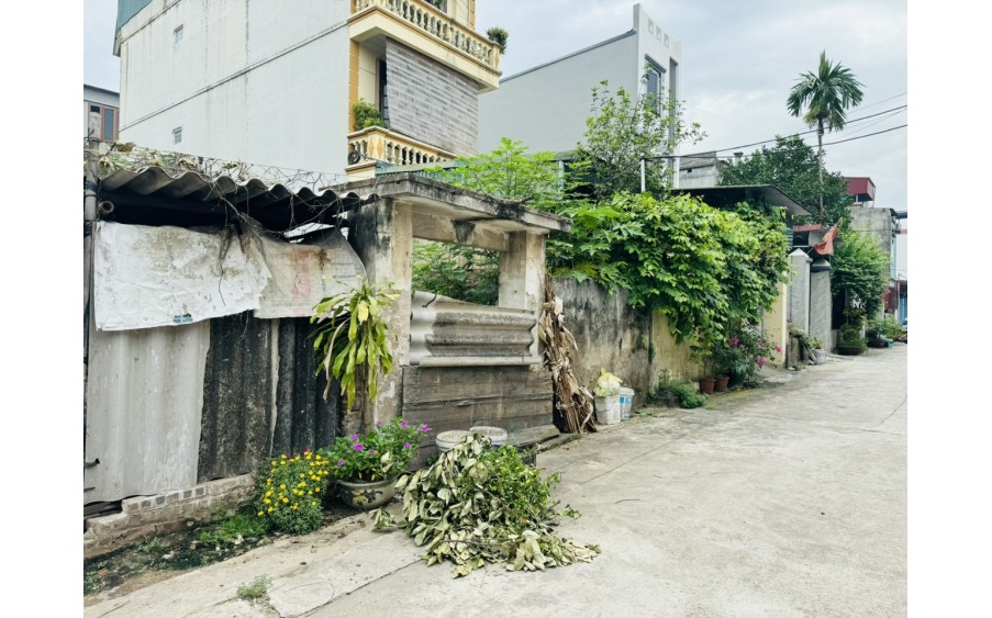 BÁN ĐẤT TÀM XÁ , ĐÔNG ANH ,ĐƯỜNG OTO TRÁNH NGÕ THÔNG , 168M ,GIÁ 7XTR