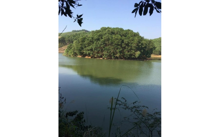 4300m2 đất chân chạm nước, view đẹp nhất hồ Vầy Nưa, Hòa Bình chỉ 5 tỷ.