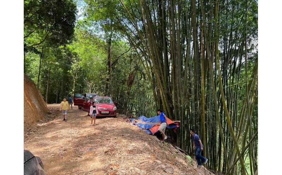 4200m2 đất chân chạm nước, view đẹp nhất hồ Vầy Nưa, Hòa Bình chỉ 5 tỷ.