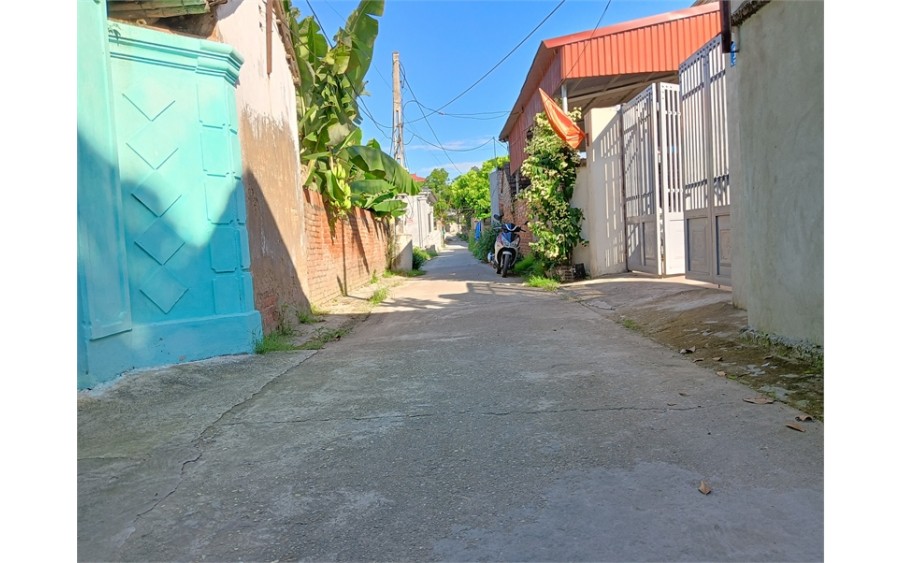 Bán Gấp 60m2 tại Nam Cương - Hiền Ninh - Sóc Sơn. Đường thông,oto vào đất