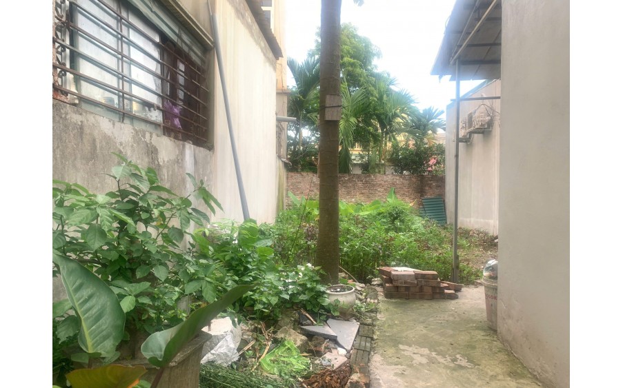 chỉ vài trăm triệu có ngay lô đất 63 m giáp thị trấn chúc sơn thuộc xóm trại đại yên chương mỹ 
Cách tỉnh lộ 419 chỉ 80 m 2 phút ra trung tâm thị