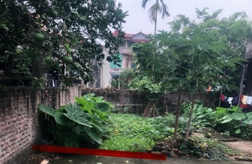 Bán đất thôn Đoài, Nam Hồng, Đông Anh, Hà Nội, full thổ cư, DT 68m, giá 1,95 tỷ.