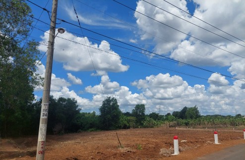 Bán 5 công đát vườn đường nhựa lớn 16m, sau giáp Suối, X.Bàu Cạn - H.Long Thành. Giá chỉ  8 tỷ