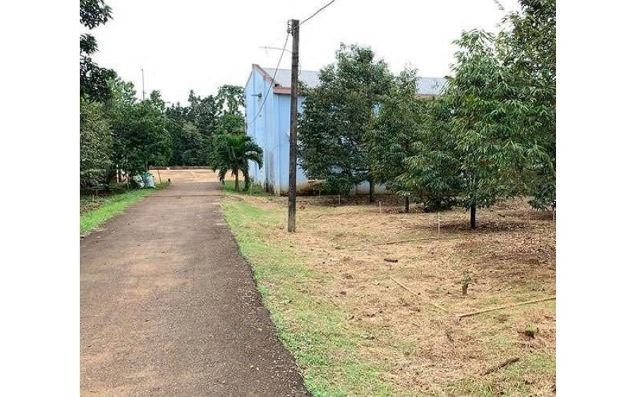 Mẫu Nhà Lý Tưởng Cho Khu Đất 1100m2 Cây Ăn Trái Quanh Năm + View Suối Mát Thơ Mộng
