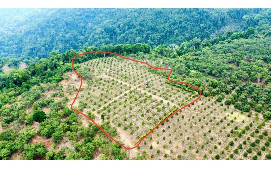 ĐẤT ĐẸP  - CHÍNH CHỦ BÁN ĐẤT Tại Buôn B.salousieum, Xã Tiên Hoàng, Cát Tiên, Lâm Đồng