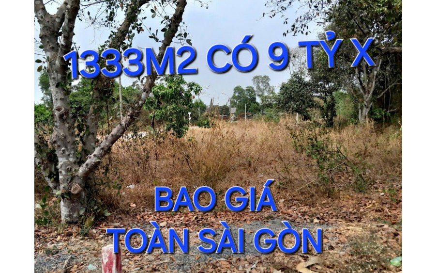 Bao Giá Toàn Sài Gòn 1333m2 Đất 9 tỷ x Nguyễn Thị Nói Củ Chi TPHCM