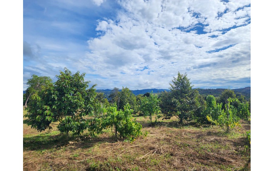 ĐẤT ĐẸP  - CHÍNH CHỦ BÁN ĐẤT Tại Buôn B.salousieum, Xã Tiên Hoàng, Cát Tiên, Lâm Đồng