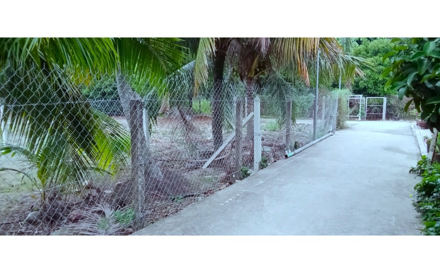Bán Đất An Sơn32 Xã AN Sơn, Thuận An Bình Đường  500m2 Thổ Cư 100m2  Mặt Tiềng Đương 3.5 mét Sổ Hồng Riêng
