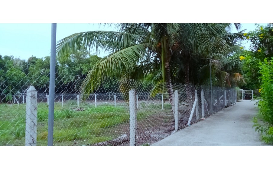 Bán Đất An Sơn32 Xã AN Sơn, Thuận An Bình Đường  500m2 Thổ Cư 100m2  Mặt Tiềng Đương 3.5 mét Sổ Hồng Riêng