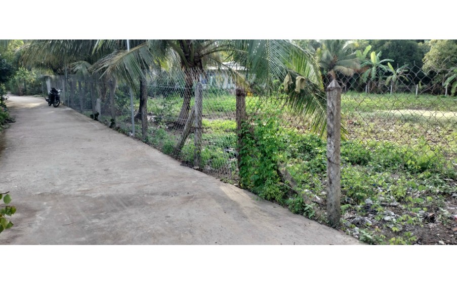 Bán Đất An Sơn32 Xã AN Sơn, Thuận An Bình Đường  500m2 Thổ Cư 100m2  Mặt Tiềng Đương 3.5 mét Sổ Hồng Riêng