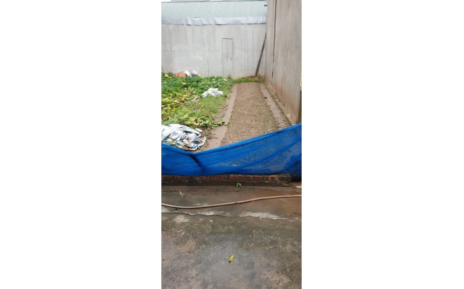 Chính chủ nhờ Bán Đất phố kẻ Tạnh, ô tô cách 20m, DT 48m, MT 3.6m. nhỉnh 3 tỷ.