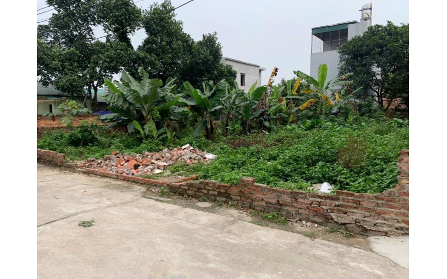 Bán đất Hội Xá Long Biên DT 60m2 ô tô vào đất gần trường học, UBND phường kết nối giao thông tốt chỉ 5 tỷ 05
