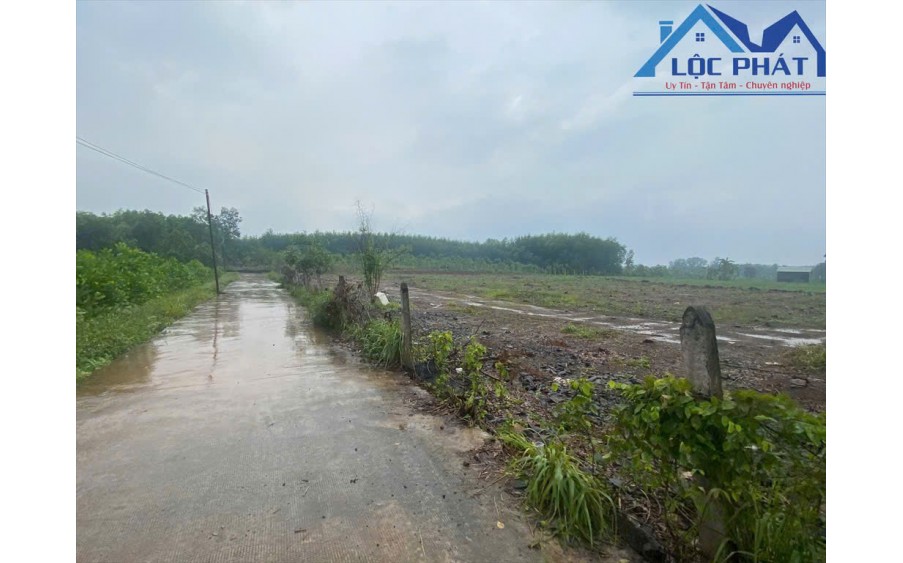 Bán 1ha7 đất vườn trang trại 2 mặt tiền huyện Vĩnh Tân , Vĩnh Cửu , Đồng Nai.