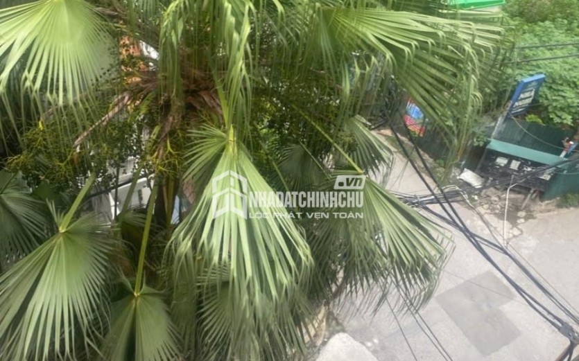 Trần Quốc Hoàn 44/80m2 Giá: 29.5 Tỷ