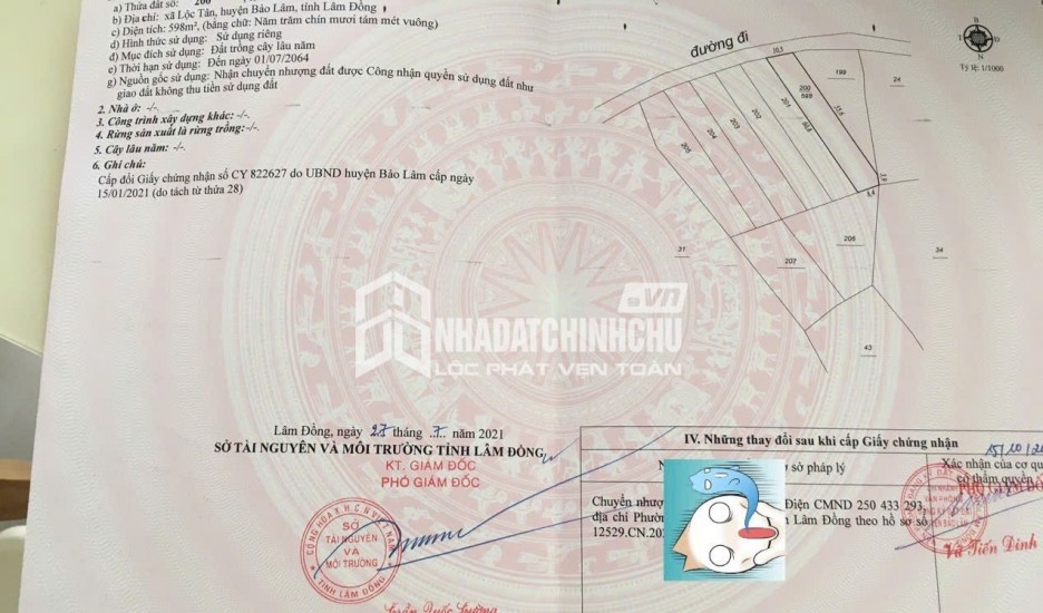 ĐẤT ĐỒI 598M² (CLN) – VIEW TOÀN HỒ NGỌC – ĐỊA THẾ ĐẸP