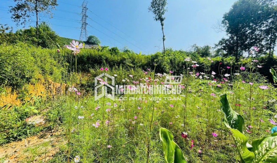 Nhà Đẹp Ô TÔ Đỗ Tận Sân Tại Phường Cam Đường, Tỉnh Lào Cai