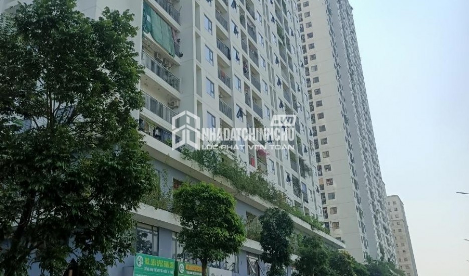 SHOPHOUSE ECOHOME 3 – VỊ TRÍ ĐẸP – KINH DOANH SẦM UẤT – ĐỐI DIỆN KHU CIPUTRA