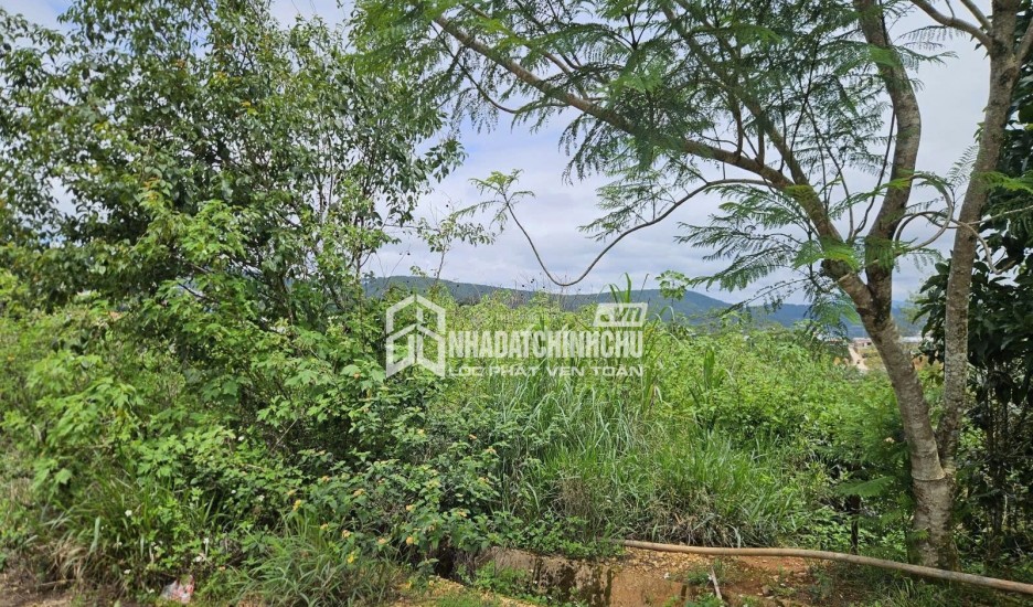 Bán đất tại KQH Trường Xuân 2, P. Xuân Trường, Đà Lạt. DT 292 m2( Mặt tiền 15m). Giá 7 tỷ TL