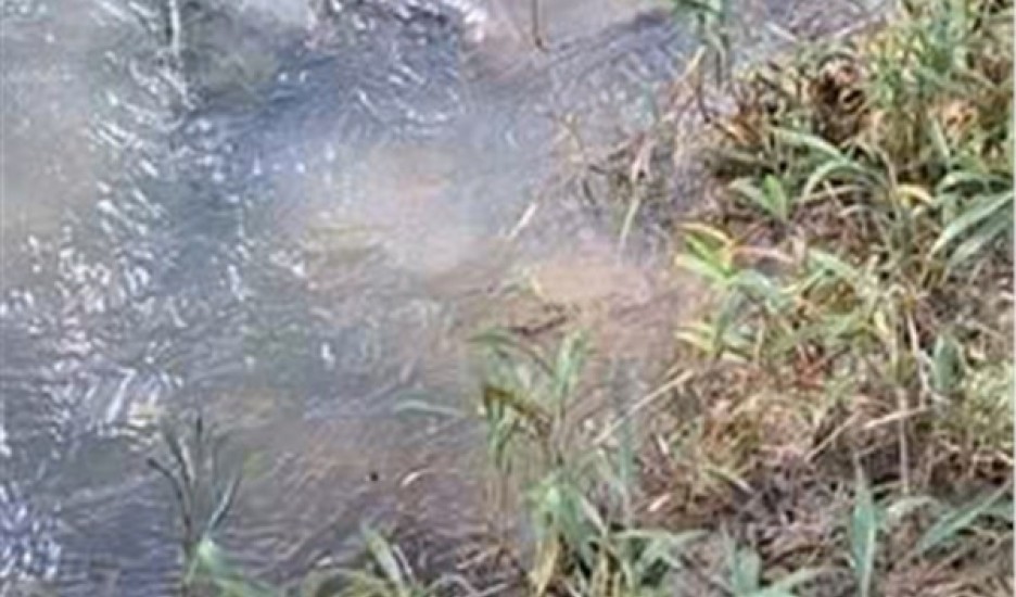 HOT HOT – CHÍNH CHỦ CẦN BÁN HOẶC CHO THUÊ ĐẤT NÔNG NGHIỆP TẠI X. Phước Hà, T. Khánh Hòa