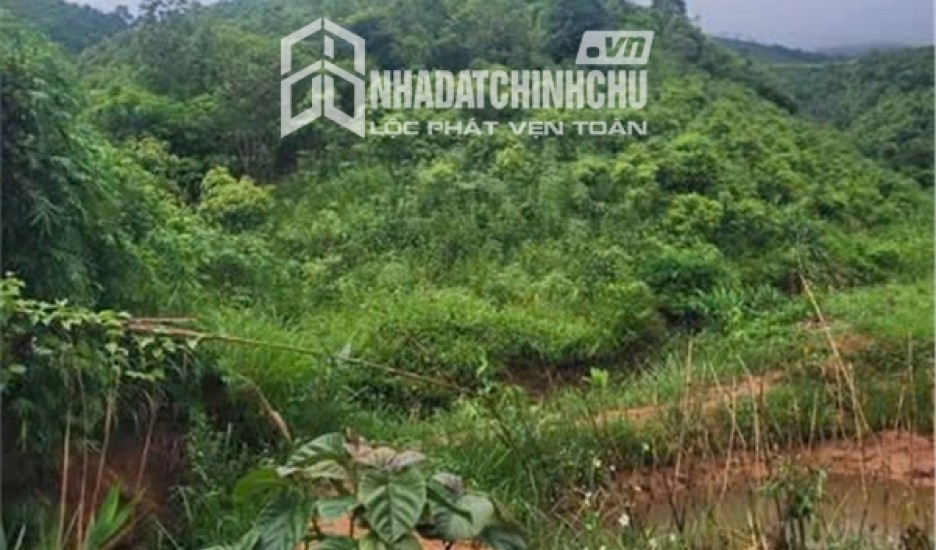 ĐẤT ĐẸP - GIÁ ĐẦU TƯ  – CHÍNH CHỦ CẦN BÁN NHANH  2 LÔ ĐẤT RẪY TẠI H. Đăk Glei, T. Kon Tum