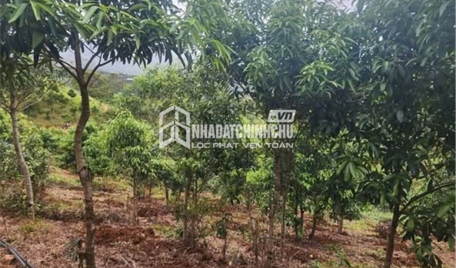 ĐẤT ĐẸP - GIÁ ĐẦU TƯ  – CHÍNH CHỦ CẦN BÁN NHANH  2 LÔ ĐẤT RẪY TẠI H. Đăk Glei, T. Kon Tum