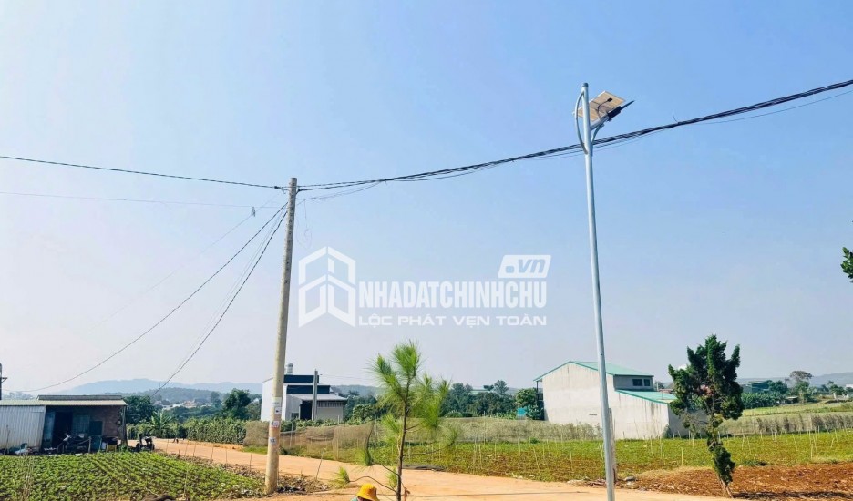 ĐẤT ĐẸP – GIÁ TỐT – CHÍNH CHỦ CẦN BÁN ĐẤT TẠI X. Tân Hội, H. Đức Trọng, T. Lâm Đồng