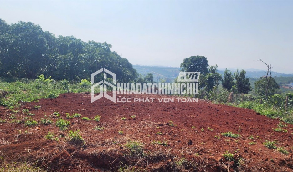 ĐẤT ĐẸP – GIÁ TỐT – CHÍNH CHỦ CẦN BÁN ĐẤT TẠI Nam Hà, Lâm Hà, Lâm Đồng