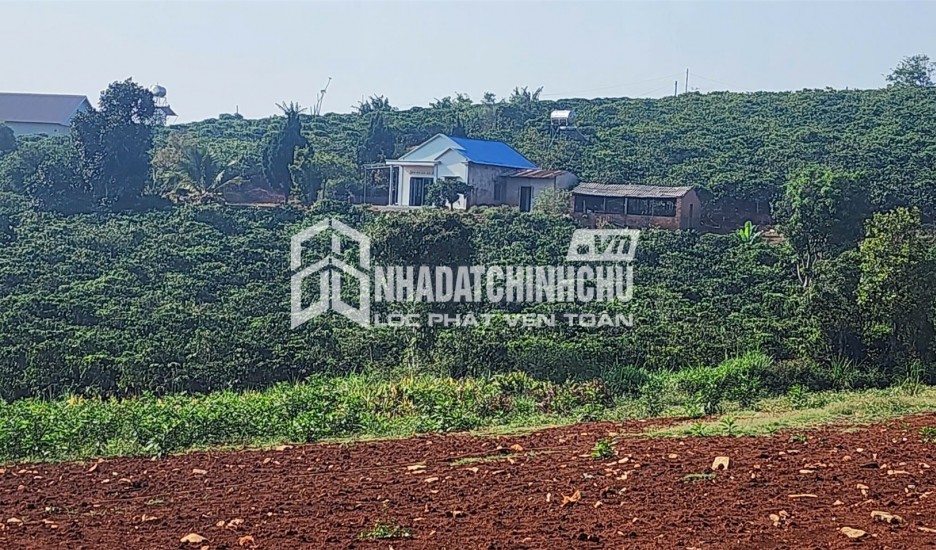 ĐẤT ĐẸP – GIÁ TỐT – CHÍNH CHỦ CẦN BÁN ĐẤT TẠI Nam Hà, Lâm Hà, Lâm Đồng