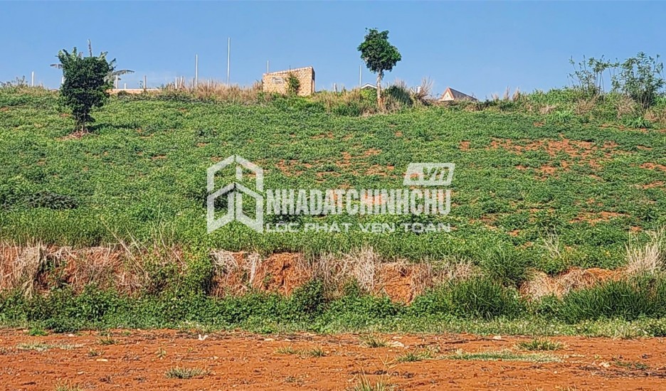 ĐẤT ĐẸP – GIÁ TỐT – CHÍNH CHỦ CẦN BÁN ĐẤT TẠI Nam Hà, Lâm Hà, Lâm Đồng