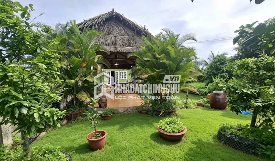 CHỈ 5,2 TỶ SỞ HỮU NGAY NHÀ VƯỜN HƠN 1.128m2 HÀ NINH HÀ TĨNH